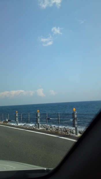 お天気いいので