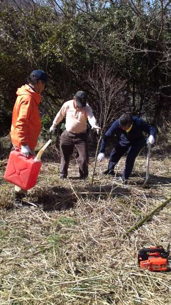 15本植えます