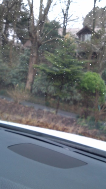 雪(≧∇≦)