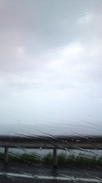 また雨が強くなってきますた