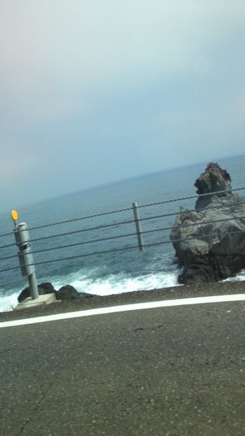 あ!ライオンだ!!