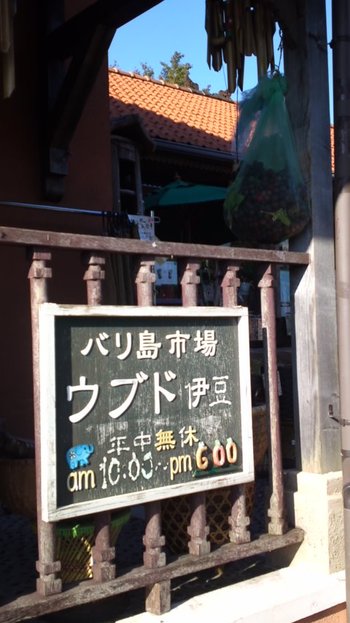 ここにも行ったり
