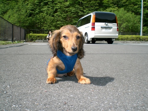 東京☆T様☆アル君☆ベル君