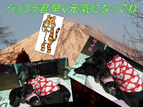 富士☆E様☆リノ君