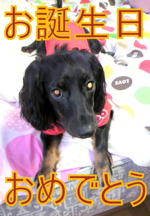 富士☆K様☆ララちゃん