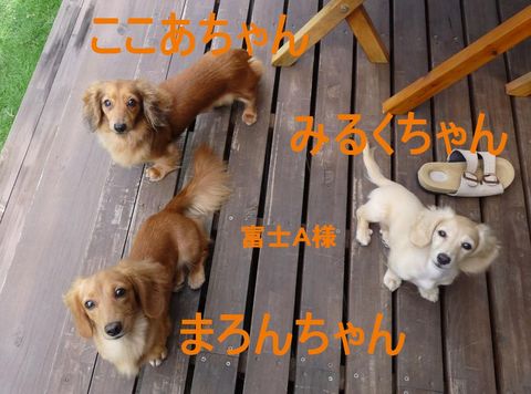 富士☆A様☆三姉妹
