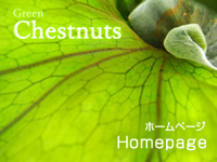 ちょっと変わった植物やさん チェスナッツ 静岡県富士市