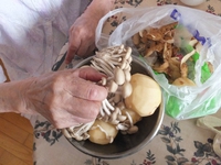 介護中です。 介護中です。