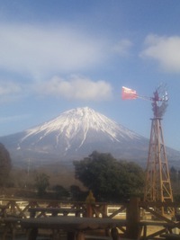 午年ですね