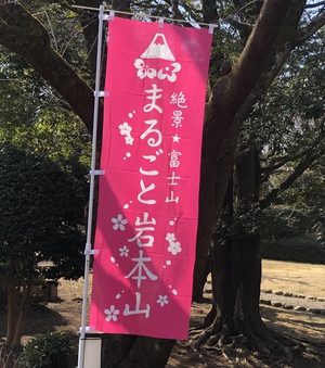 岩本山に春を探しに 岩本山に春を探しに