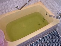 緑茶カテキン入浴剤試作