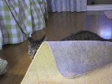 にほんブログ村 ライフスタイルブログ 海辺の暮らしへ