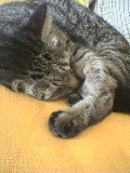 にほんブログ村 ライフスタイルブログ 海辺の暮らしへ
