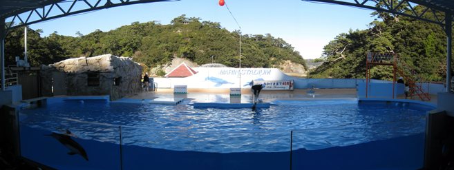 海中水族館2
