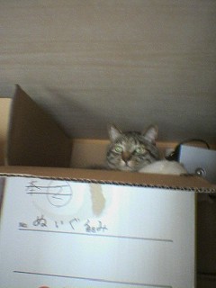 喉カラッカラ