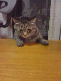 にほんブログ村 ライフスタイルブログ 海辺の暮らしへ