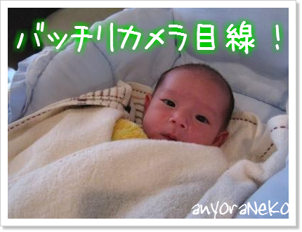 バッチリです!