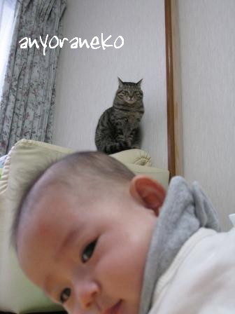 あたたかいまなざし
