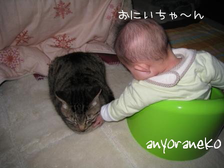 性格だから