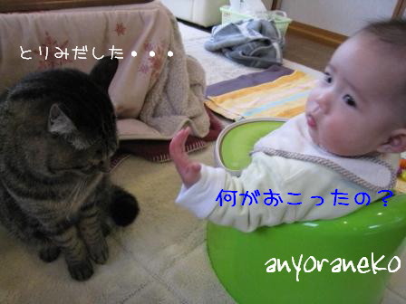 性格だから
