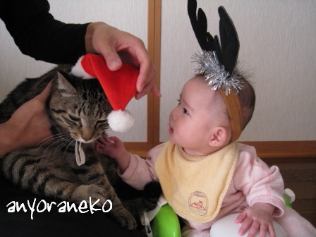 トナカイとサンタ