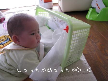 目が離せなくなってきました