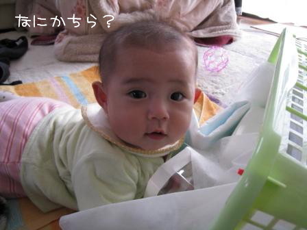 目が離せなくなってきました
