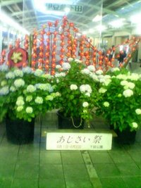 Happy Wedding♪