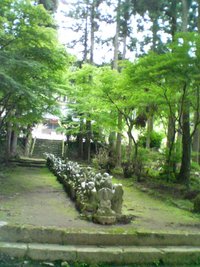 21世紀の森