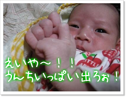 これ何でしょう?