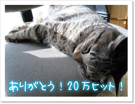 おばあちゃんとお月見