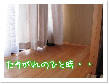 お兄ちゃんの立場