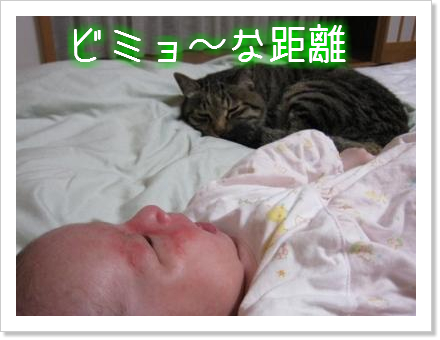 兄妹なかよく?