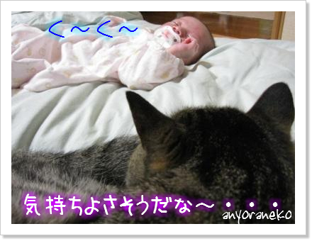 兄妹なかよく?
