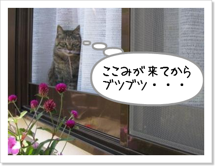 お兄ちゃんの立場