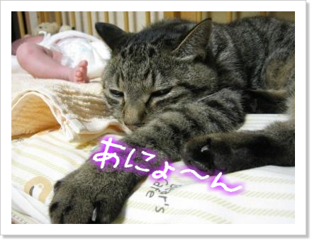 仲良し♪