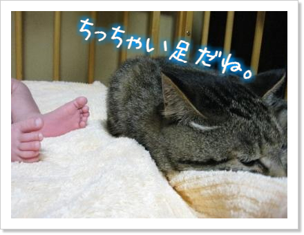 仲良し♪