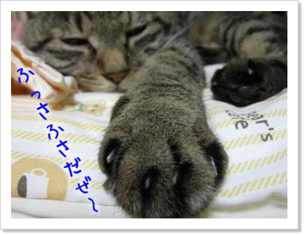 赤ちゃんがピタリ泣きやむ
