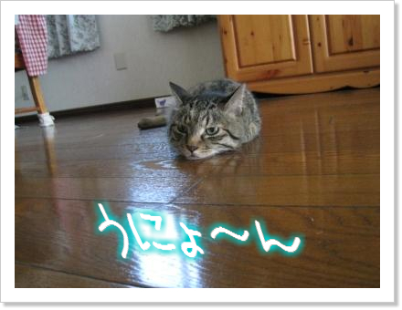 何だこりゃ