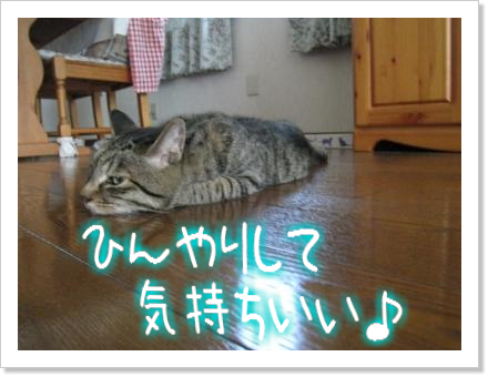 何だこりゃ
