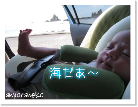 初めての海