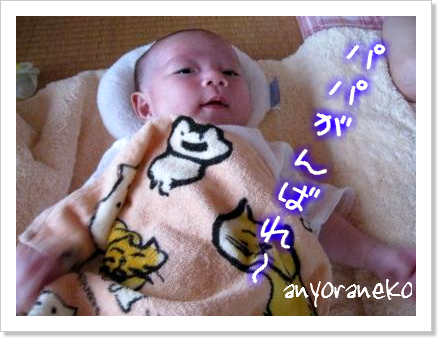 夏の楽しみ