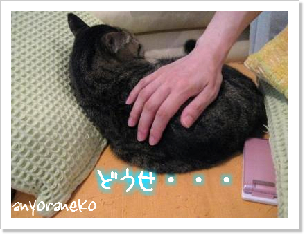 金目づくし
