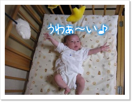 うわぁ~い♪