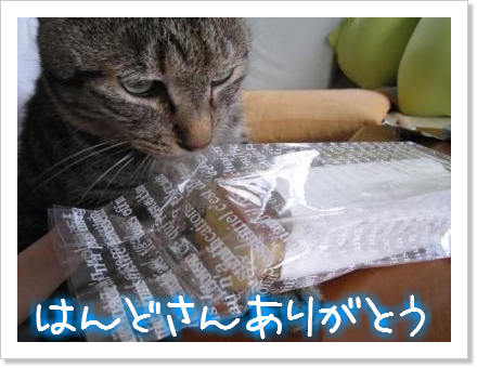 うんしょっこらしょっ!