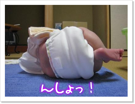 うんしょっこらしょっ!