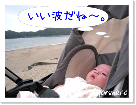 弓ヶ浜へお散歩