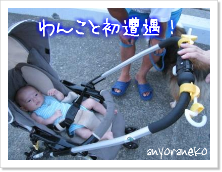 海辺のお散歩
