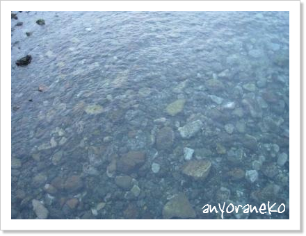 海辺のお散歩