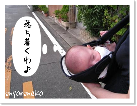 ペリーロードをお散歩